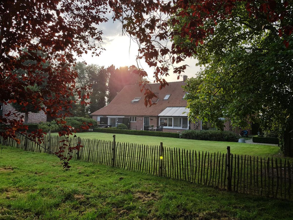 B&B Bergenhof Hoogstraten Exteriör bild
