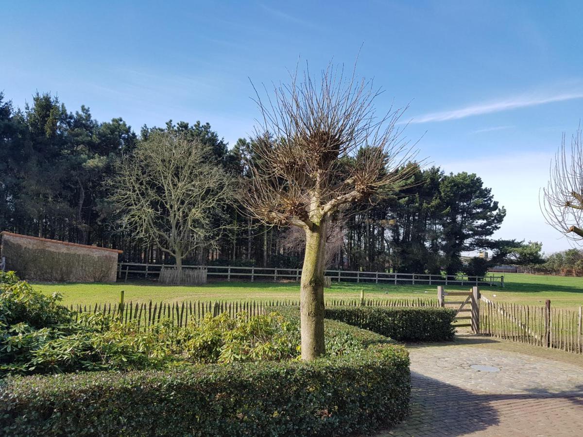 B&B Bergenhof Hoogstraten Exteriör bild