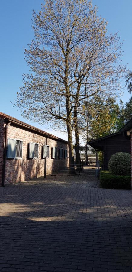 B&B Bergenhof Hoogstraten Exteriör bild